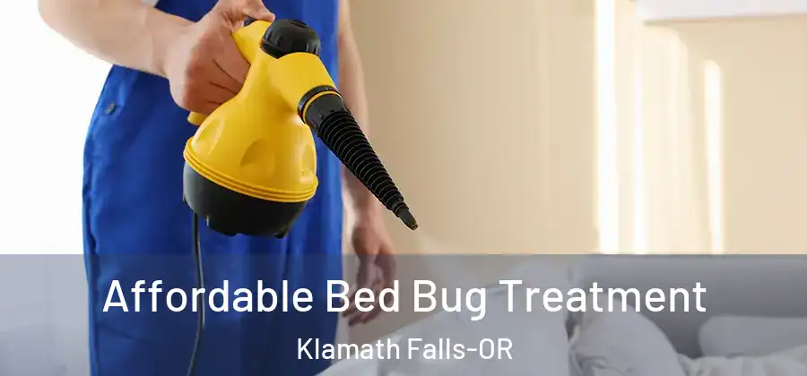 Affordable Bed Bug Treatment Klamath Falls-OR