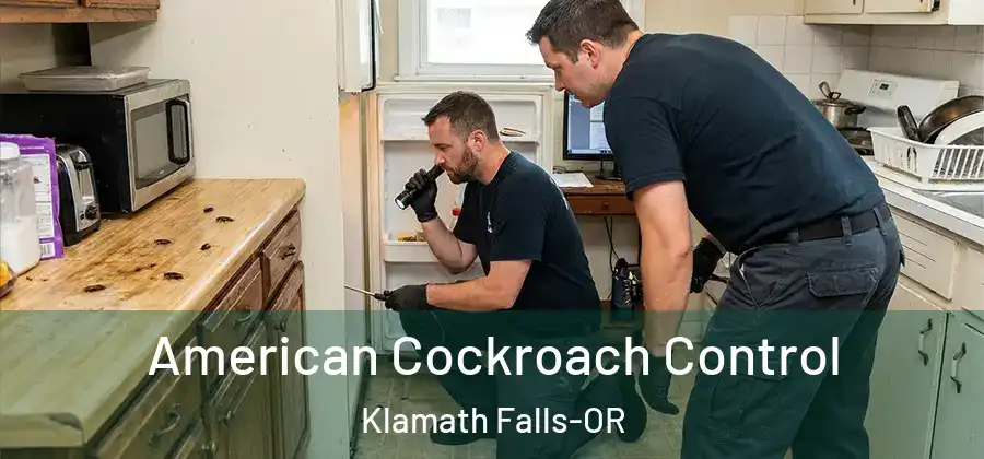  American Cockroach Control Klamath Falls-OR
