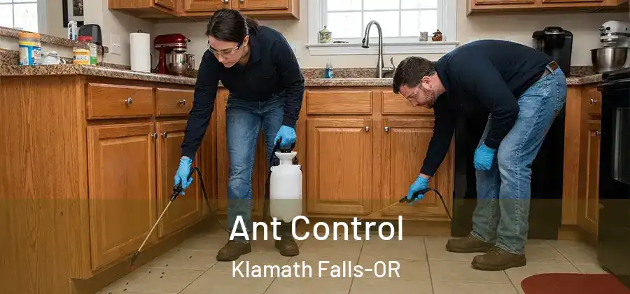  Ant Control Klamath Falls-OR