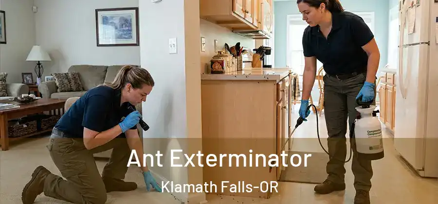 Ant Exterminator Klamath Falls-OR