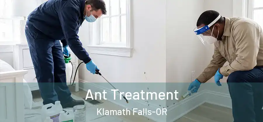  Ant Treatment Klamath Falls-OR