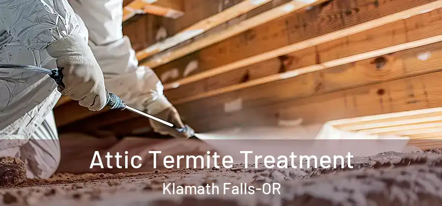  Attic Termite Treatment Klamath Falls-OR
