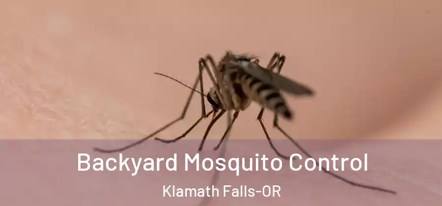 Backyard Mosquito Control Klamath Falls-OR