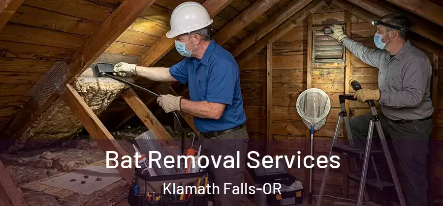  Bat Removal Services Klamath Falls-OR