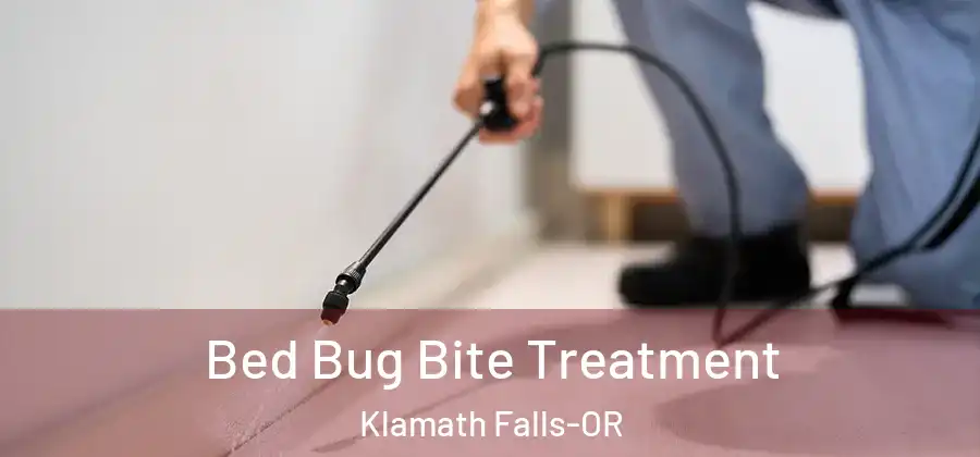 Bed Bug Bite Treatment Klamath Falls-OR