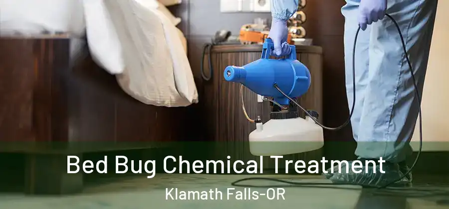  Bed Bug Chemical Treatment Klamath Falls-OR