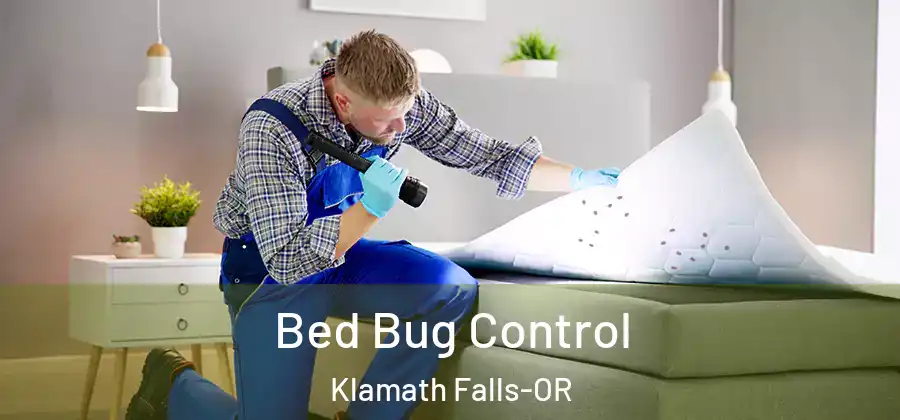 Bed Bug Control Klamath Falls-OR