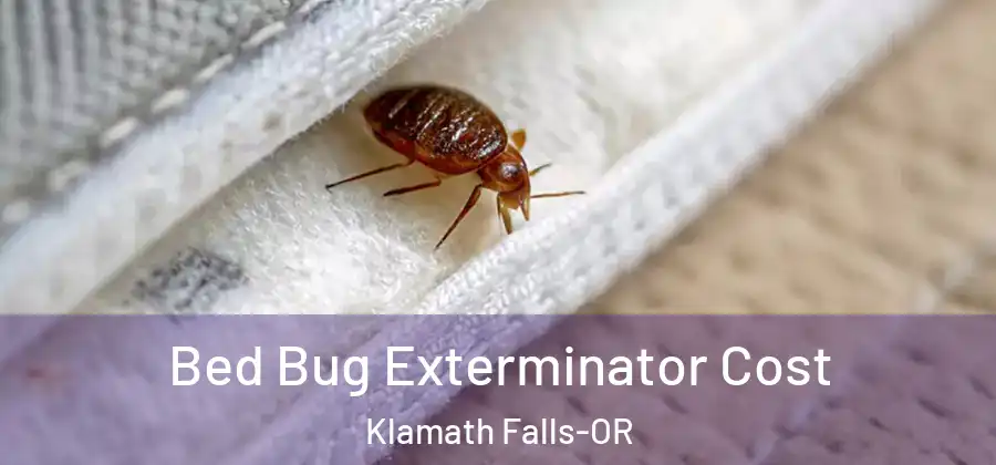  Bed Bug Exterminator Cost Klamath Falls-OR