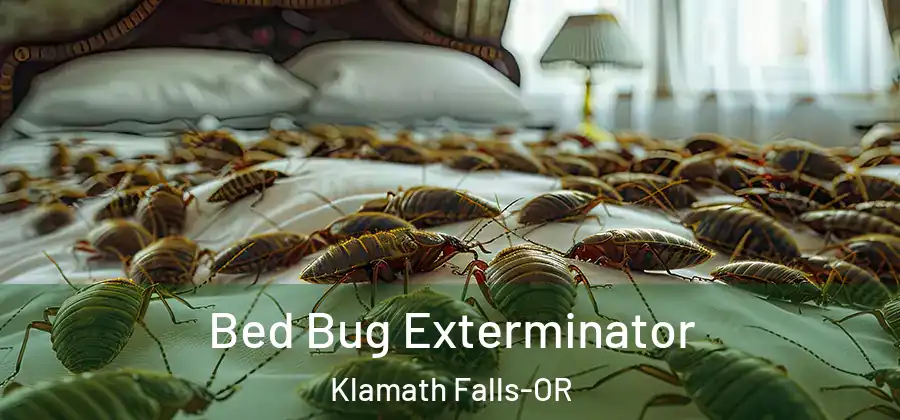  Bed Bug Exterminator Klamath Falls-OR