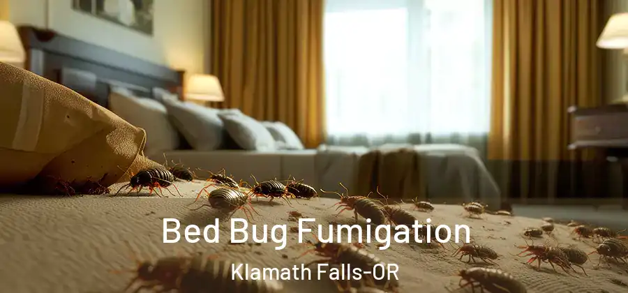 Bed Bug Fumigation Klamath Falls-OR