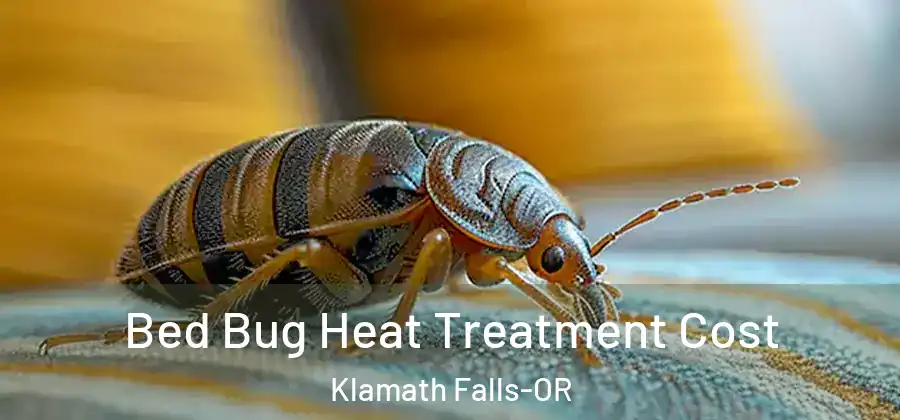  Bed Bug Heat Treatment Cost Klamath Falls-OR