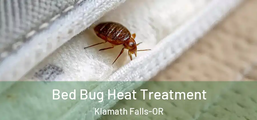 Bed Bug Heat Treatment Klamath Falls-OR