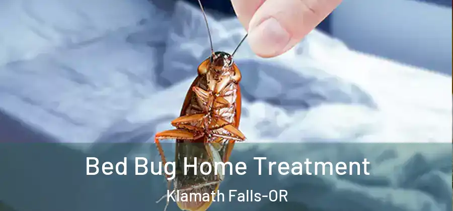Bed Bug Home Treatment Klamath Falls-OR