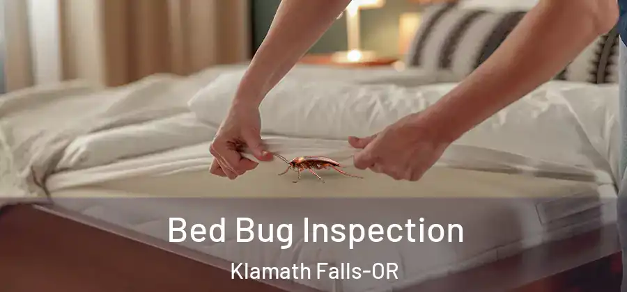 Bed Bug Inspection Klamath Falls-OR