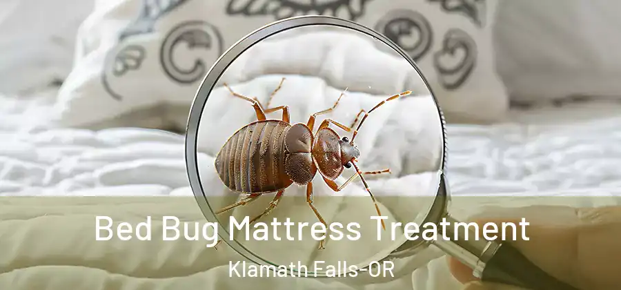  Bed Bug Mattress Treatment Klamath Falls-OR