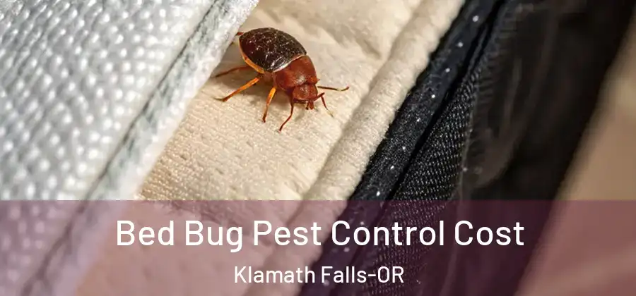  Bed Bug Pest Control Cost Klamath Falls-OR
