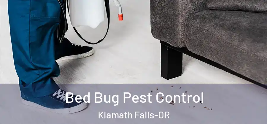  Bed Bug Pest Control Klamath Falls-OR