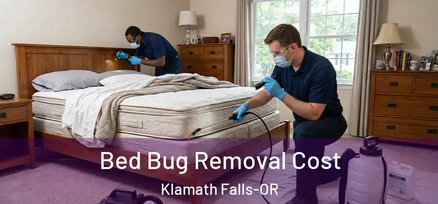  Bed Bug Removal Cost Klamath Falls-OR