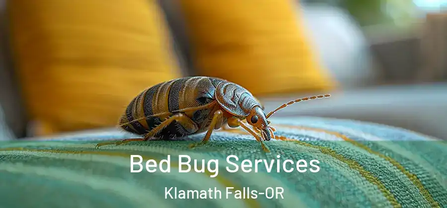  Bed Bug Services Klamath Falls-OR