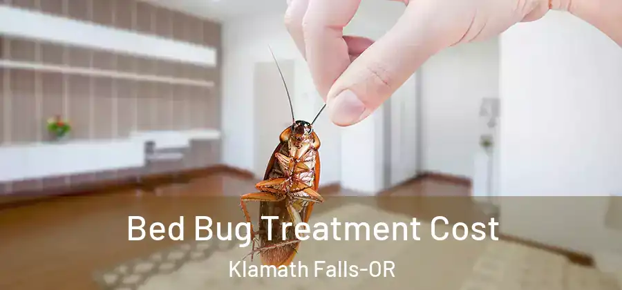  Bed Bug Treatment Cost Klamath Falls-OR