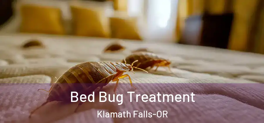  Bed Bug Treatment Klamath Falls-OR