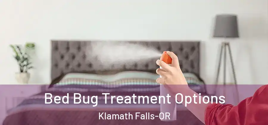 Bed Bug Treatment Options Klamath Falls-OR