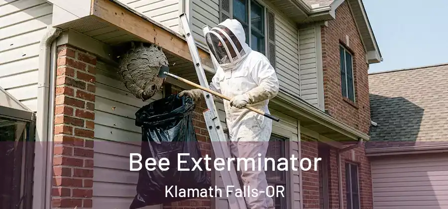  Bee Exterminator Klamath Falls-OR