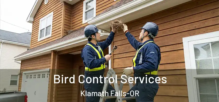  Bird Control Services Klamath Falls-OR