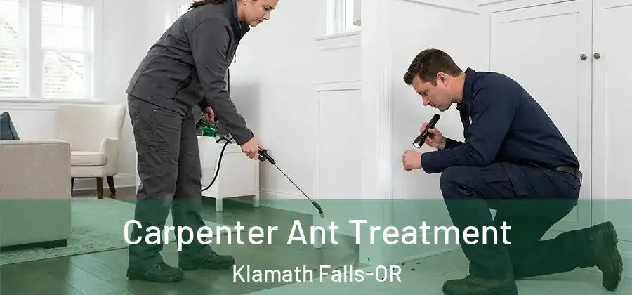  Carpenter Ant Treatment Klamath Falls-OR
