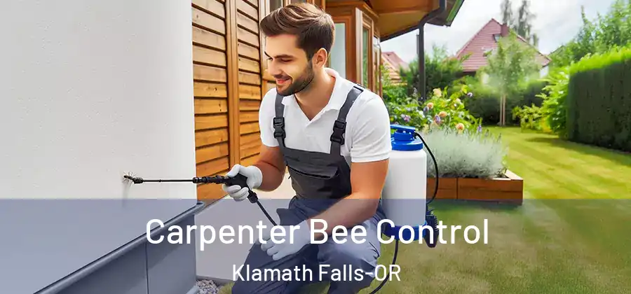  Carpenter Bee Control Klamath Falls-OR