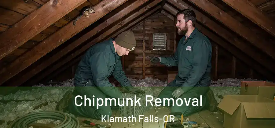  Chipmunk Removal Klamath Falls-OR