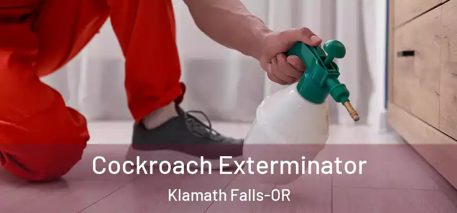  Cockroach Exterminator Klamath Falls-OR