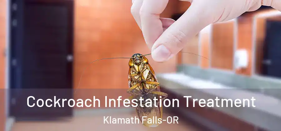  Cockroach Infestation Treatment Klamath Falls-OR