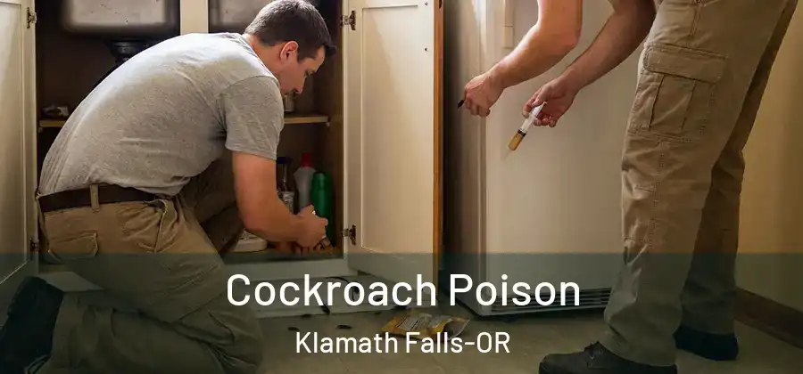 Cockroach Poison Klamath Falls-OR