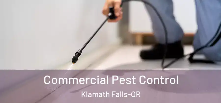  Commercial Pest Control Klamath Falls-OR
