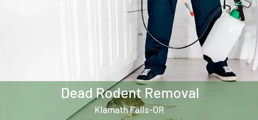  Dead Rodent Removal Klamath Falls-OR