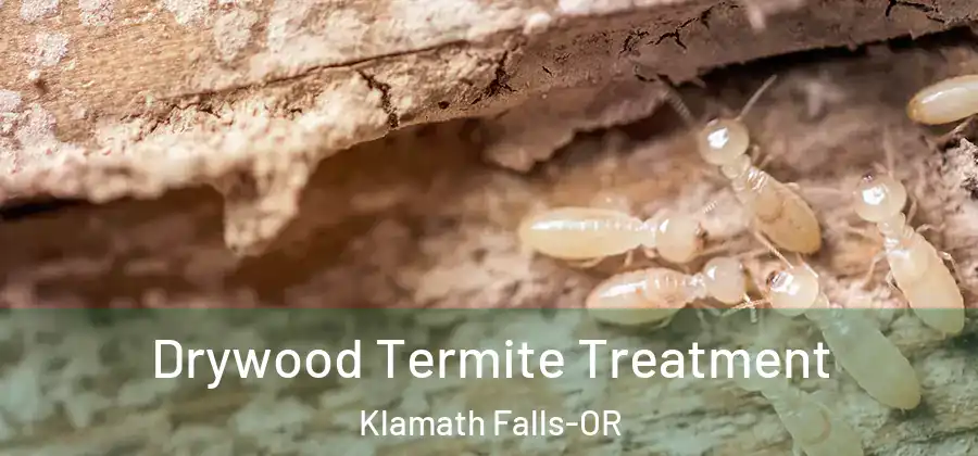 Drywood Termite Treatment Klamath Falls-OR