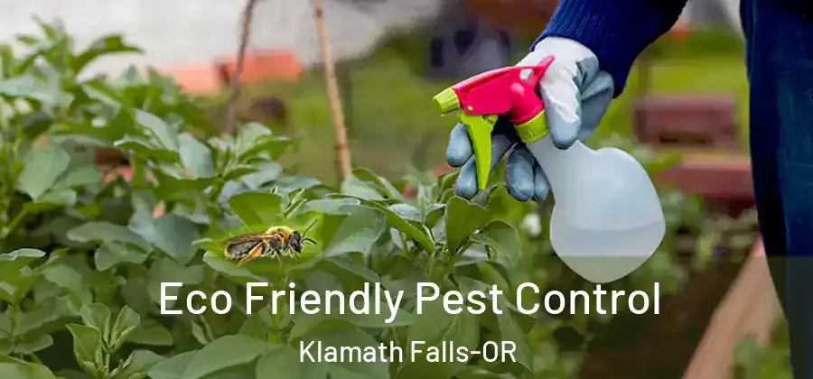 Eco Friendly Pest Control Klamath Falls-OR