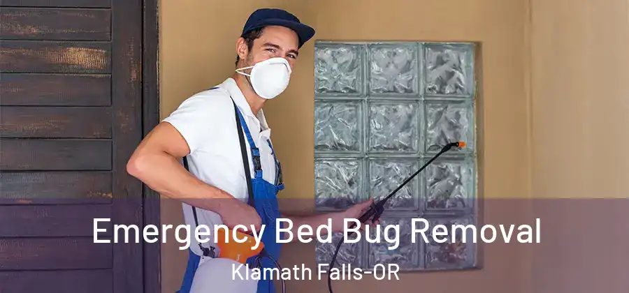  Emergency Bed Bug Removal Klamath Falls-OR