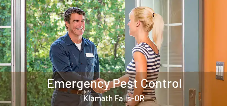 Emergency Pest Control Klamath Falls-OR