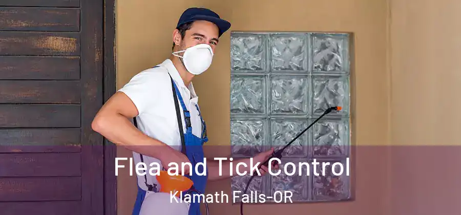 Flea and Tick Control Klamath Falls-OR