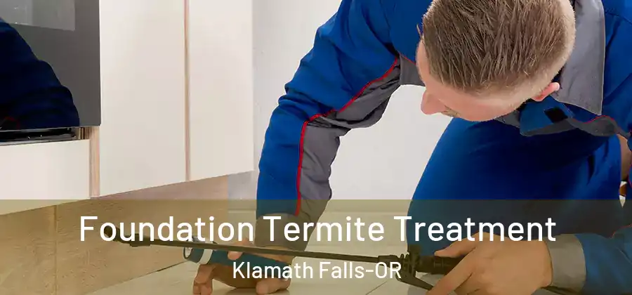  Foundation Termite Treatment Klamath Falls-OR
