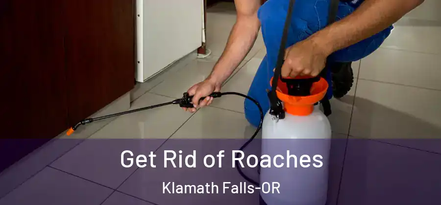Get Rid of Roaches Klamath Falls-OR