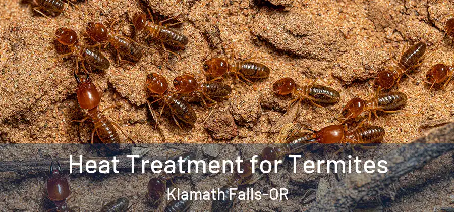 Heat Treatment for Termites Klamath Falls-OR
