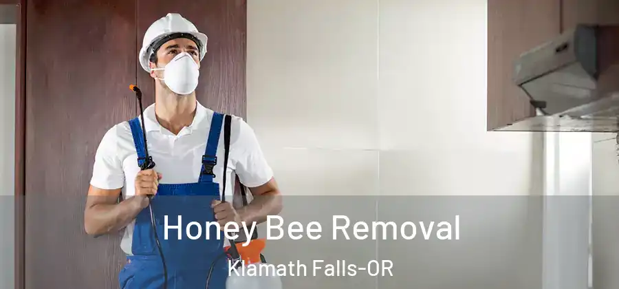 Honey Bee Removal Klamath Falls-OR