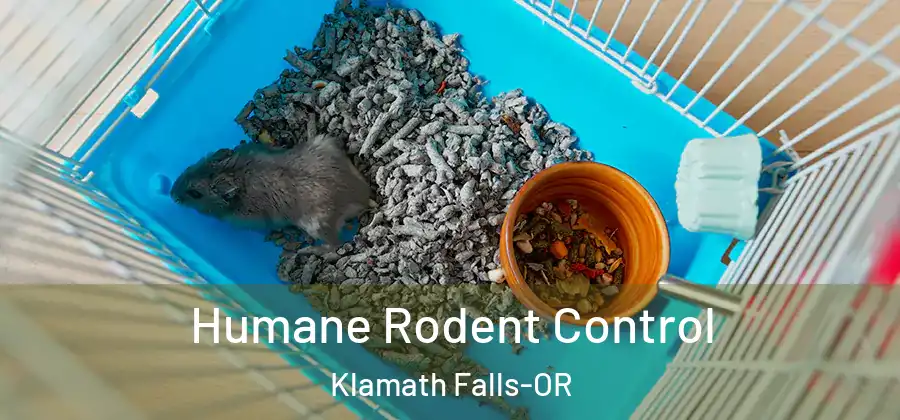  Humane Rodent Control Klamath Falls-OR