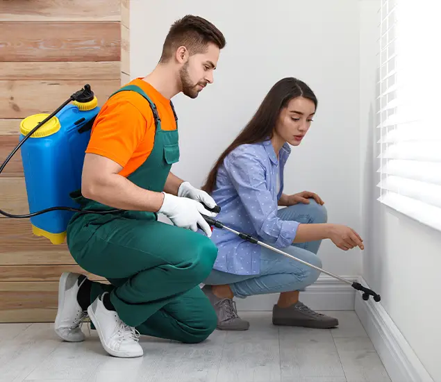 Trusted Affordable Bed Bug Treatment Experts in Klamath Falls, OR