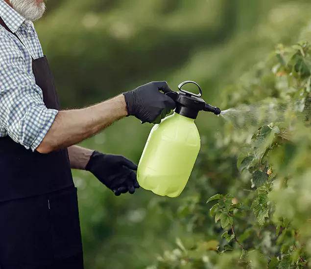 Your Proven Mosquito Treatment Company in Klamath Falls, OR