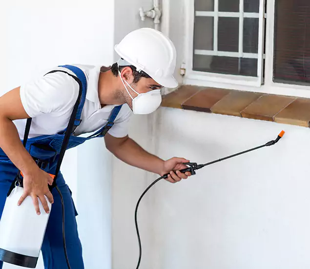 Your Professional Cockroach Exterminator in Klamath Falls, OR