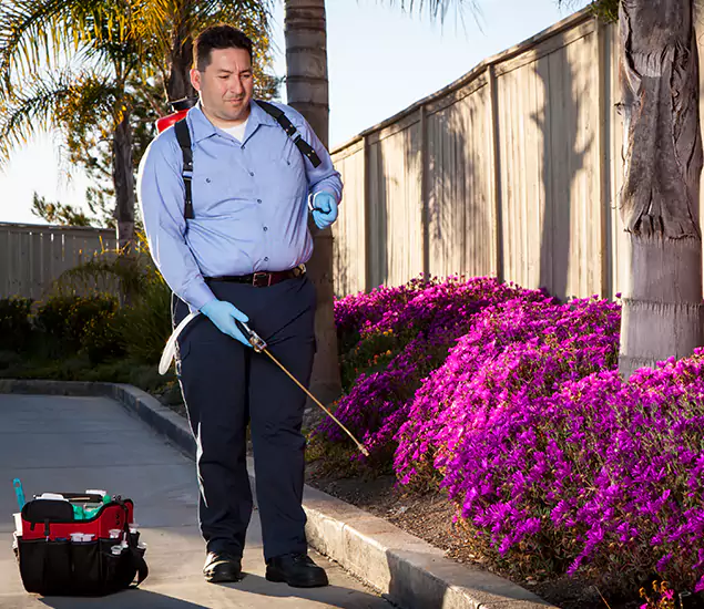 About Our Eco Safe Pest Control Experts in Klamath Falls, OR